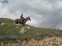 20110715_Koschkor-Song-Kul 025